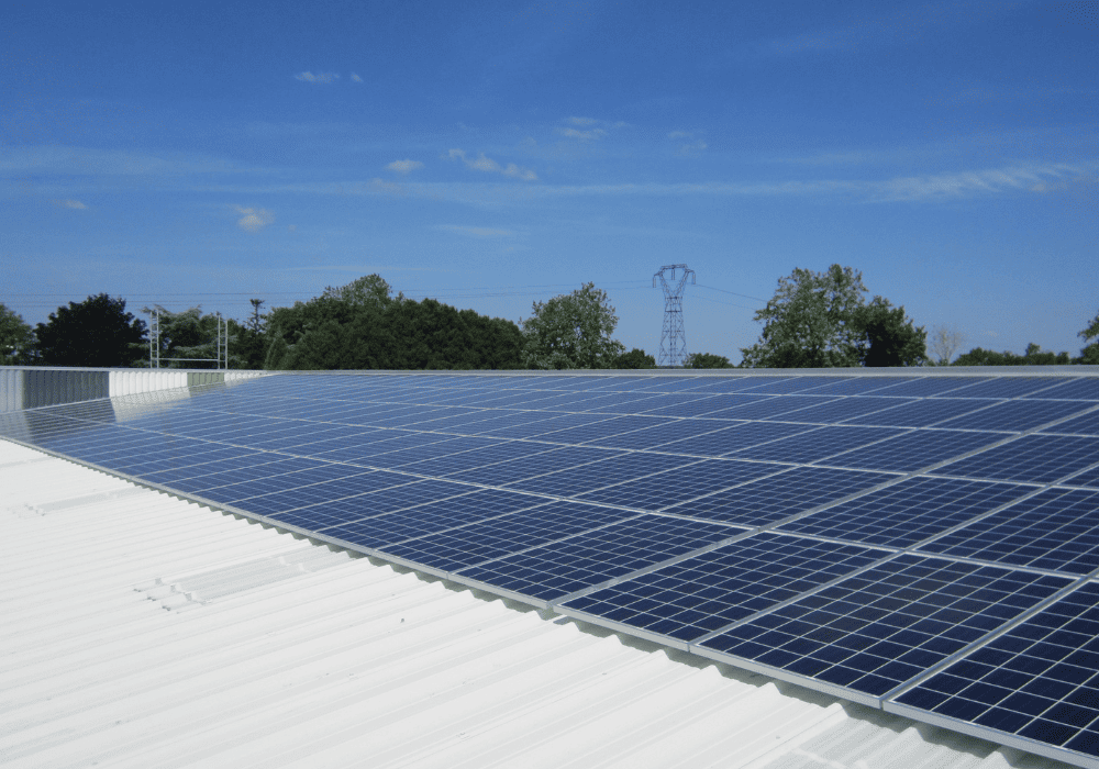 découvrez les nouvelles aides et subventions pour l'installation de panneaux solaires en 2025. profitez d'une transition énergétique facilitée et d'économies sur votre facture d'électricité grâce à ces dispositifs d'encouragement.