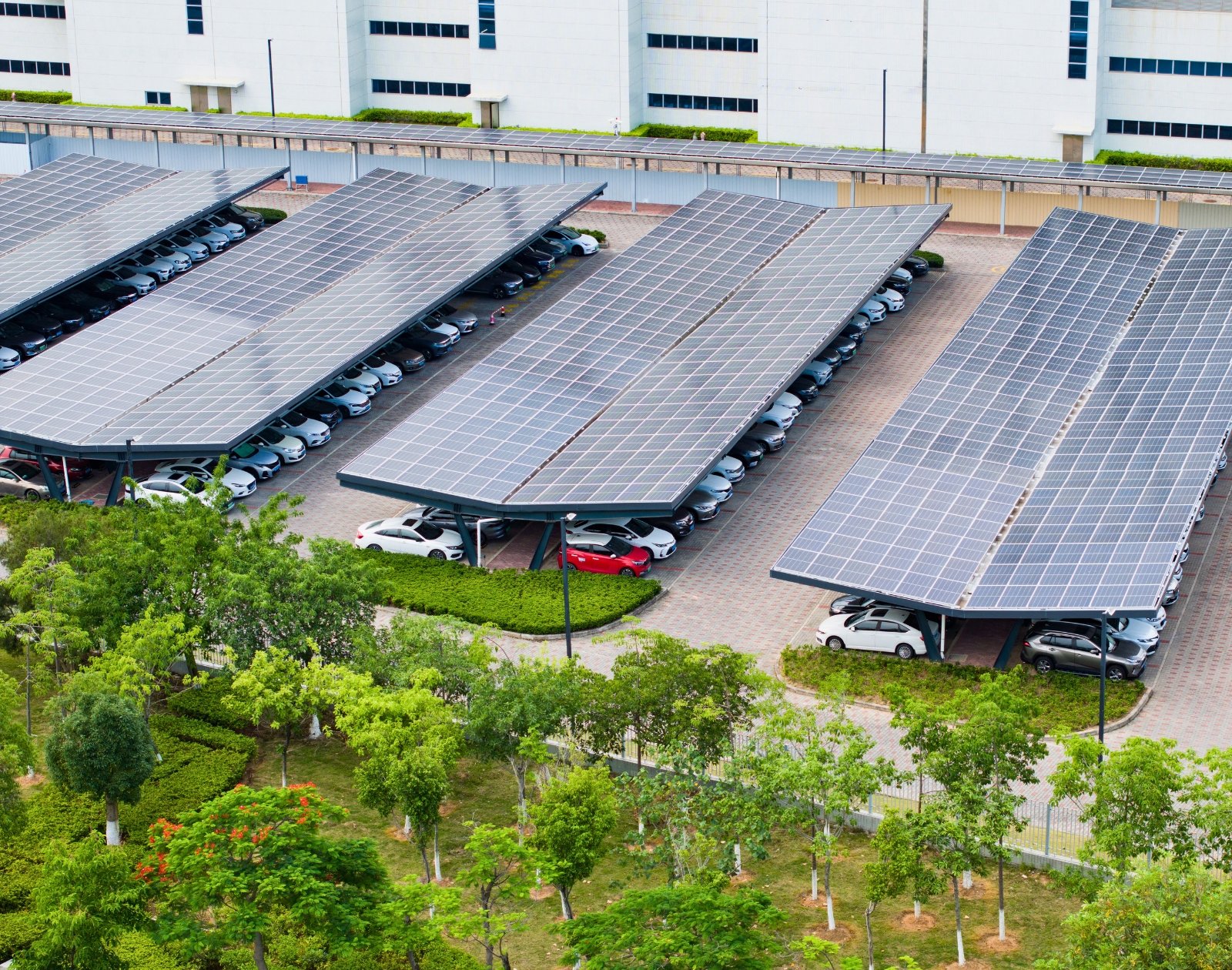 d&eacute;couvrez les pr&eacute;visions des prix des panneaux solaires en 2026. informez-vous sur les tendances du march&eacute;, les innovations technologiques et les impacts environnementaux pour faire le meilleur choix &eacute;nerg&eacute;tique.