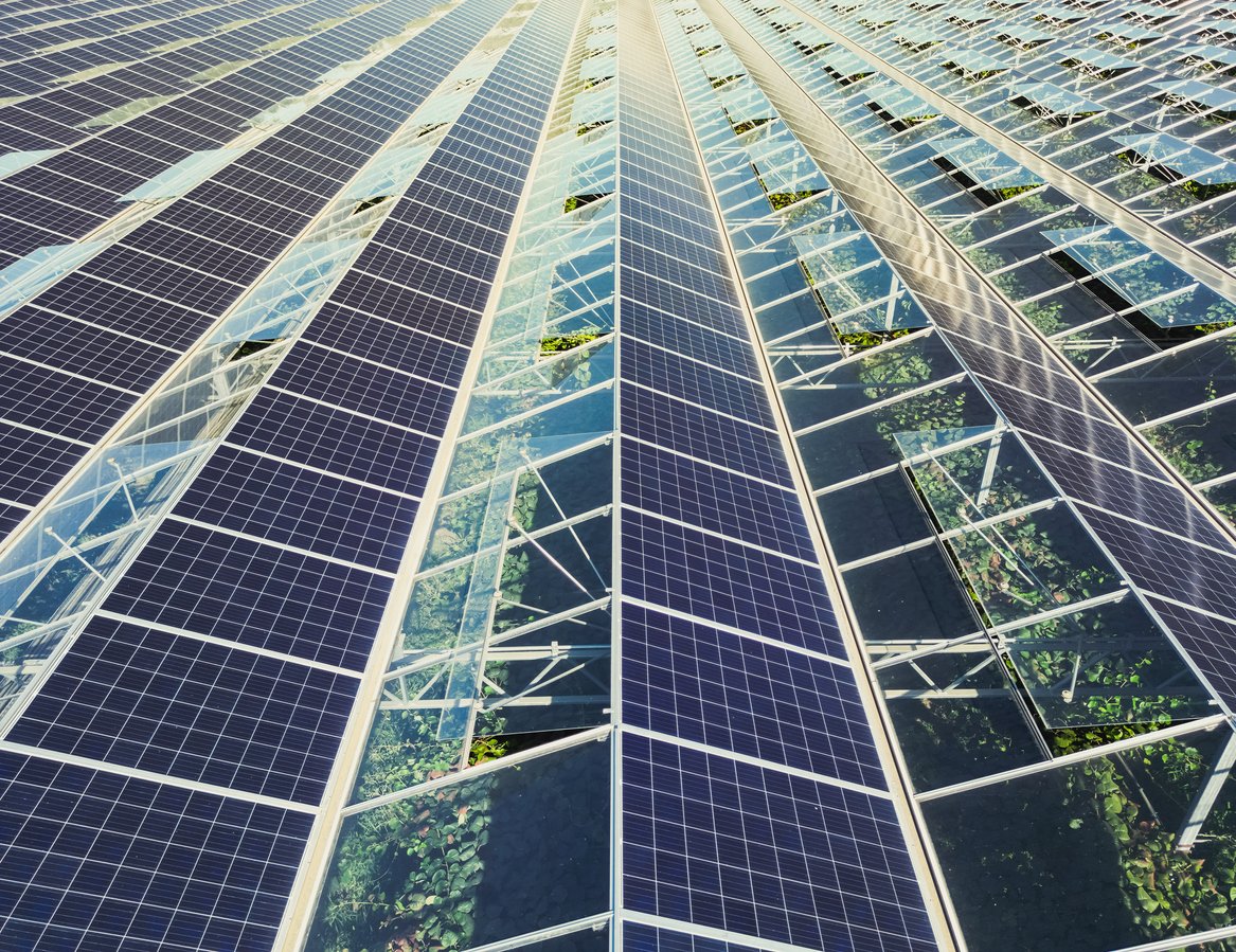 d&eacute;couvrez comment l'industrie solaire a connu un essor remarquable, r&eacute;volutionnant la production d'&eacute;nergie renouvelable et contribuant &agrave; un avenir durable. explorez les innovations, les tendances et les facteurs cl&eacute;s de ce succ&egrave;s qui transforme notre rapport &agrave; l'&eacute;nergie.